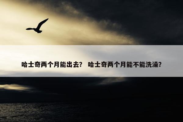 哈士奇两个月能出去？ 哈士奇两个月能不能洗澡？