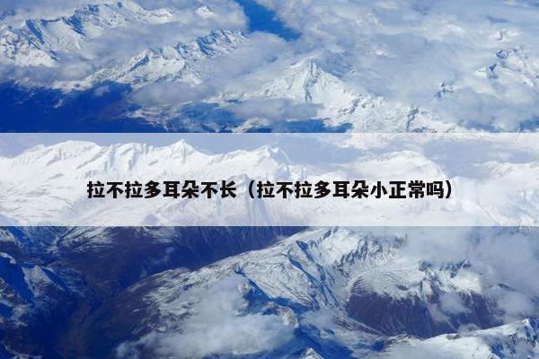 拉不拉多耳朵不长（拉不拉多耳朵小正常吗）