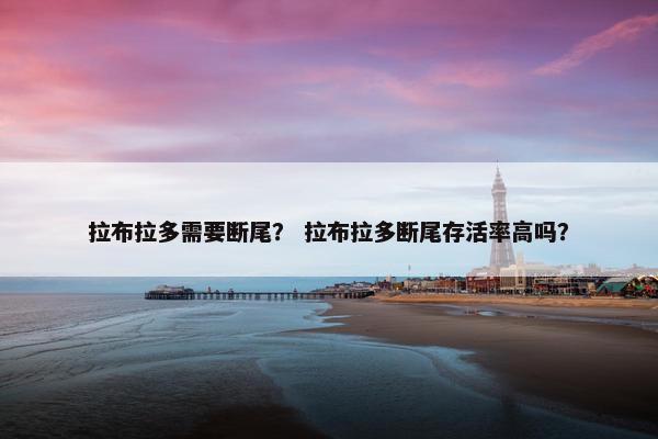 拉布拉多需要断尾？ 拉布拉多断尾存活率高吗？