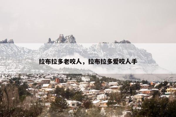 拉布拉多老咬人，拉布拉多爱咬人手