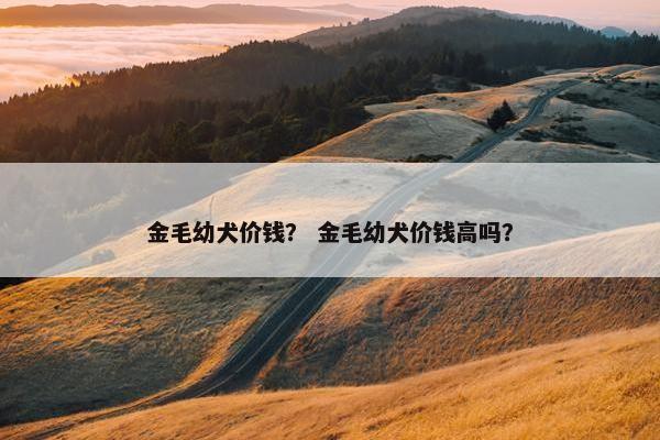 金毛幼犬价钱？ 金毛幼犬价钱高吗？