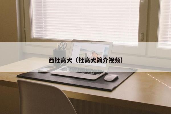 西杜高犬（杜高犬简介视频）