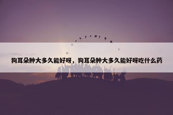 狗耳朵肿大多久能好呀，狗耳朵肿大多久能好呀吃什么药