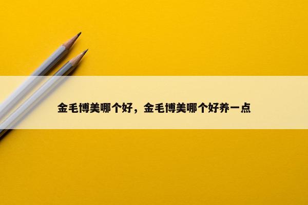 金毛博美哪个好，金毛博美哪个好养一点