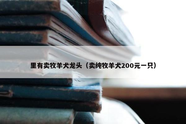 里有卖牧羊犬龙头（卖纯牧羊犬200元一只）