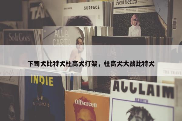 下司犬比特犬杜高犬打架，杜高犬大战比特犬
