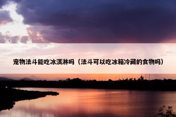 宠物法斗能吃冰淇淋吗（法斗可以吃冰箱冷藏的食物吗）