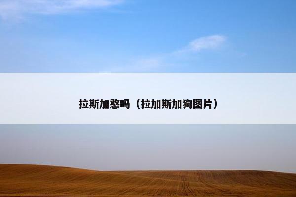 拉斯加憨吗（拉加斯加狗图片）