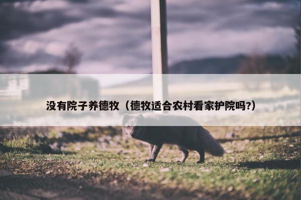 没有院子养德牧（德牧适合农村看家护院吗?）