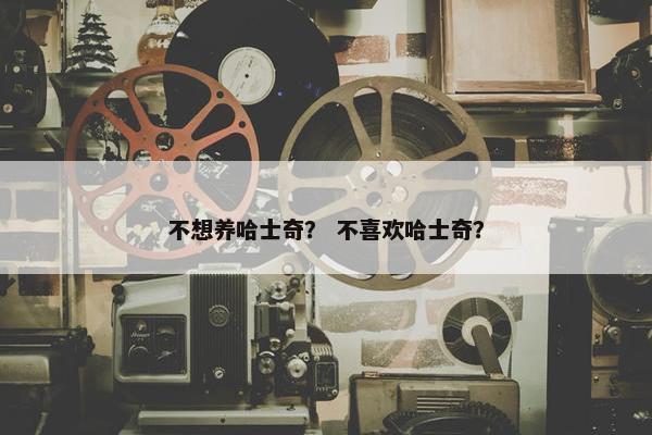 不想养哈士奇？ 不喜欢哈士奇？