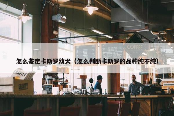 怎么鉴定卡斯罗幼犬（怎么判断卡斯罗的品种纯不纯）