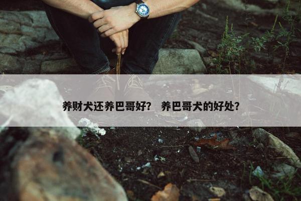养财犬还养巴哥好？ 养巴哥犬的好处？