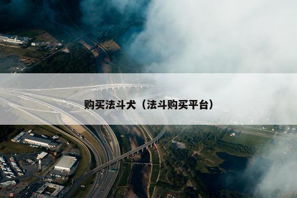 购买法斗犬（法斗购买平台）