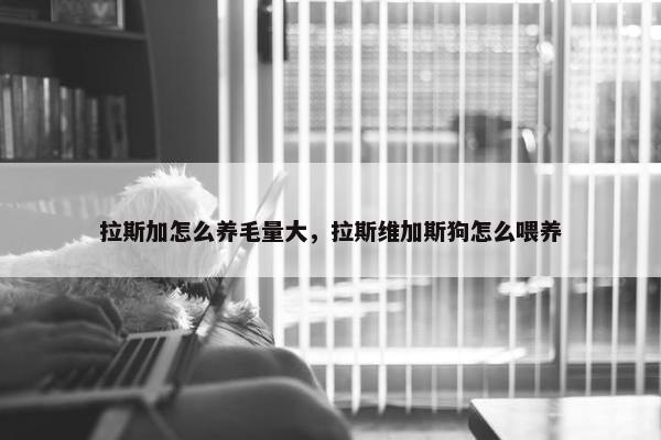 拉斯加怎么养毛量大，拉斯维加斯狗怎么喂养