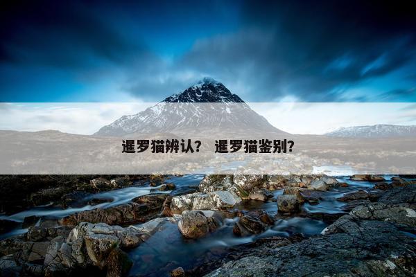 暹罗猫辨认？ 暹罗猫鉴别？