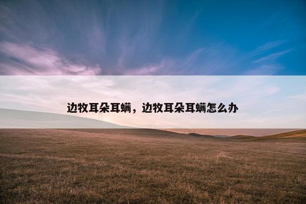 边牧耳朵耳螨，边牧耳朵耳螨怎么办