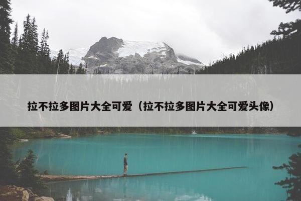 拉不拉多图片大全可爱（拉不拉多图片大全可爱头像）