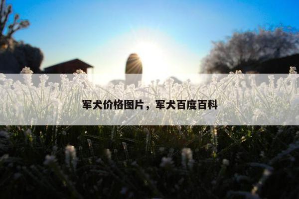 军犬价格图片，军犬百度百科