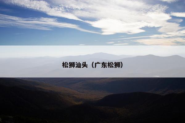 松狮汕头（广东松狮）