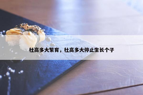 杜高多大繁育，杜高多大停止生长个子