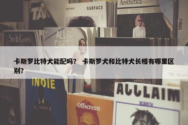 卡斯罗比特犬能配吗？ 卡斯罗犬和比特犬长相有哪里区别？