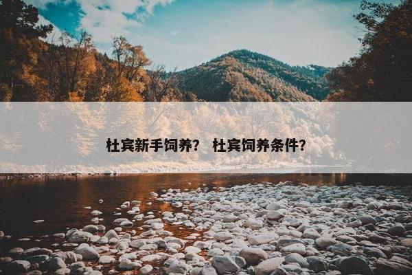 杜宾新手饲养？ 杜宾饲养条件？