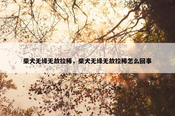 柴犬无缘无故拉稀，柴犬无缘无故拉稀怎么回事