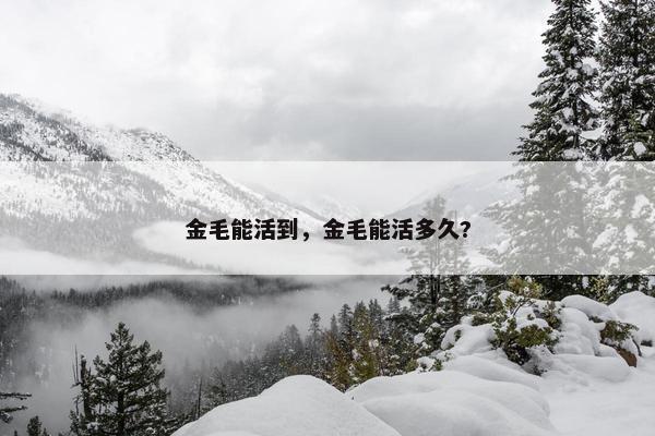 金毛能活到，金毛能活多久?