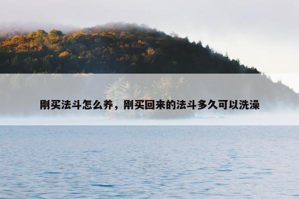 刚买法斗怎么养，刚买回来的法斗多久可以洗澡