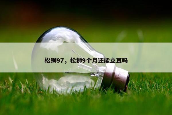 松狮97，松狮9个月还能立耳吗