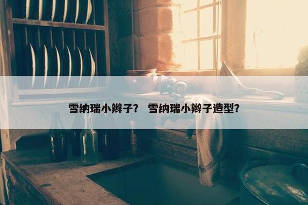 雪纳瑞小辫子？ 雪纳瑞小辫子造型？