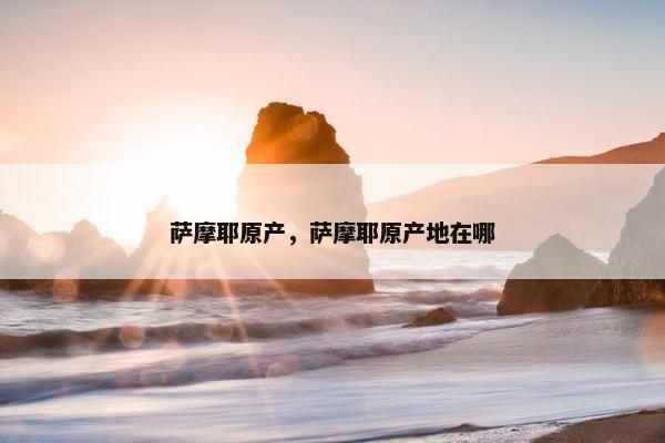 萨摩耶原产，萨摩耶原产地在哪