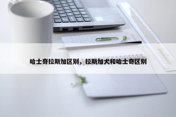 哈士奇拉斯加区别，拉斯加犬和哈士奇区别