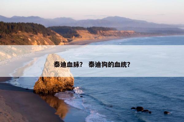 泰迪血脉？ 泰迪狗的血统？
