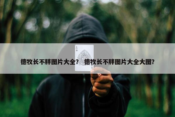 德牧长不胖图片大全？ 德牧长不胖图片大全大图？