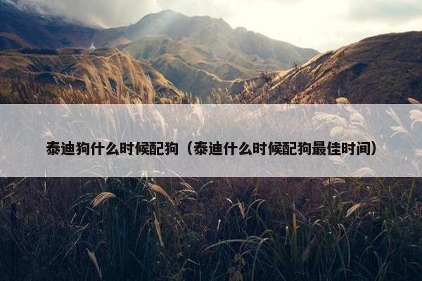 泰迪狗什么时候配狗（泰迪什么时候配狗最佳时间）