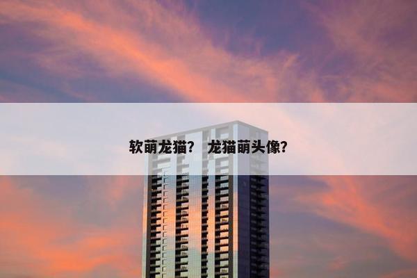 软萌龙猫？ 龙猫萌头像？