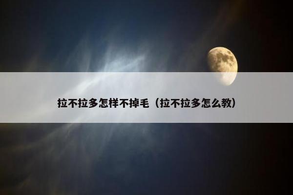 拉不拉多怎样不掉毛（拉不拉多怎么教）