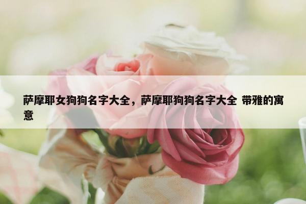 萨摩耶女狗狗名字大全，萨摩耶狗狗名字大全 带雅的寓意