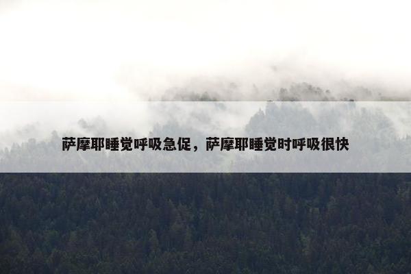 萨摩耶睡觉呼吸急促，萨摩耶睡觉时呼吸很快