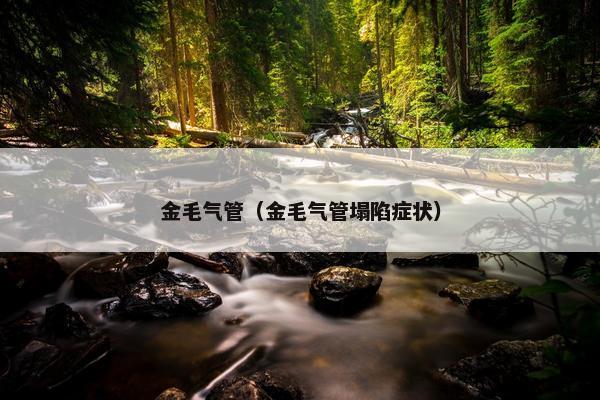 金毛气管（金毛气管塌陷症状）