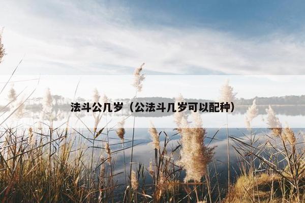 法斗公几岁（公法斗几岁可以配种）