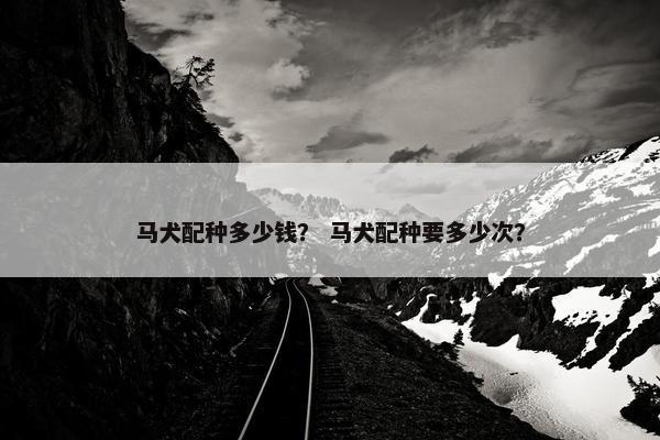 马犬配种多少钱？ 马犬配种要多少次？