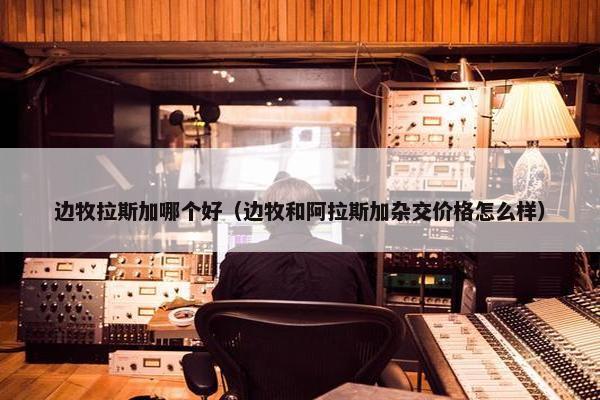 边牧拉斯加哪个好（边牧和阿拉斯加杂交价格怎么样）