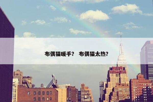 布偶猫暖手？ 布偶猫太热？