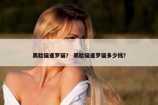 黑脸猫暹罗猫？ 黑脸猫暹罗猫多少钱？
