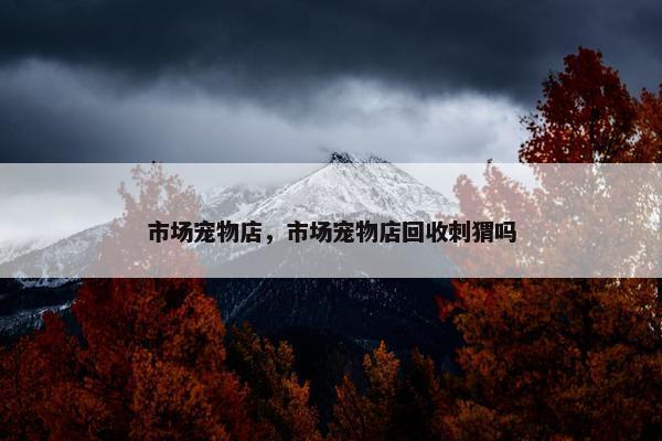 市场宠物店，市场宠物店回收刺猬吗