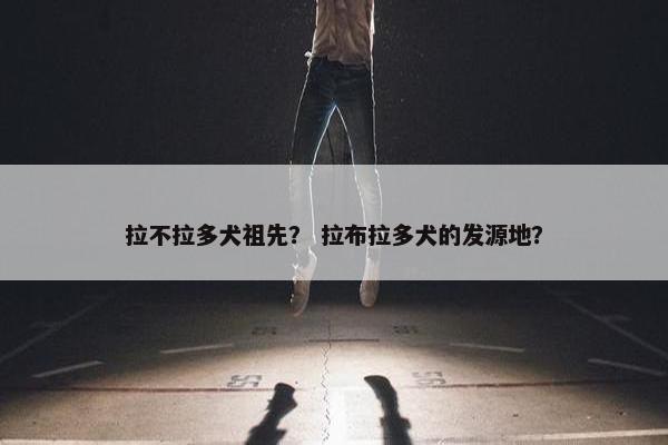 拉不拉多犬祖先？ 拉布拉多犬的发源地？