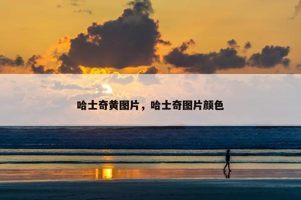 哈士奇黄图片，哈士奇图片颜色