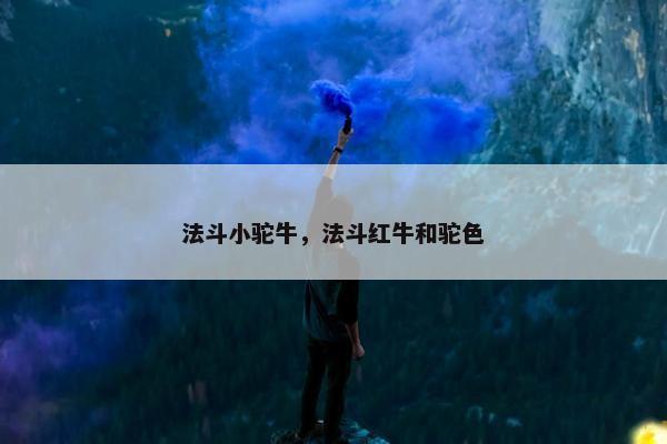 法斗小驼牛，法斗红牛和驼色